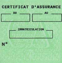 Papillon vert