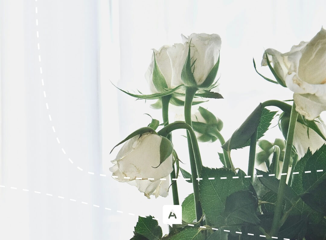 Assurance crédit garantie décès